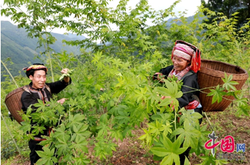 1675327555037.png 1675327555037.png