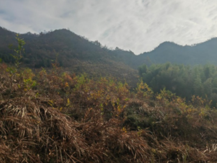 1735092463035.png 1735092463035.png